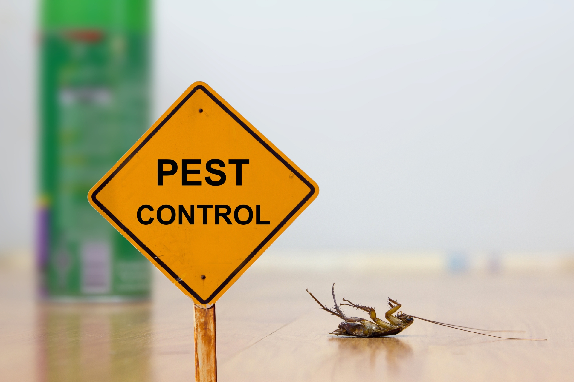 24 Hour Pest Control, Pest Control in Potters Bar, Cuffley, Northaw, EN6. Call Now 020 8166 9746