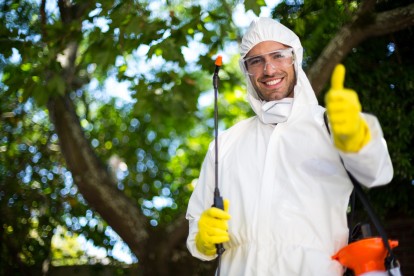 Pest Control in Potters Bar, Cuffley, Northaw, EN6. Call Now 020 8166 9746